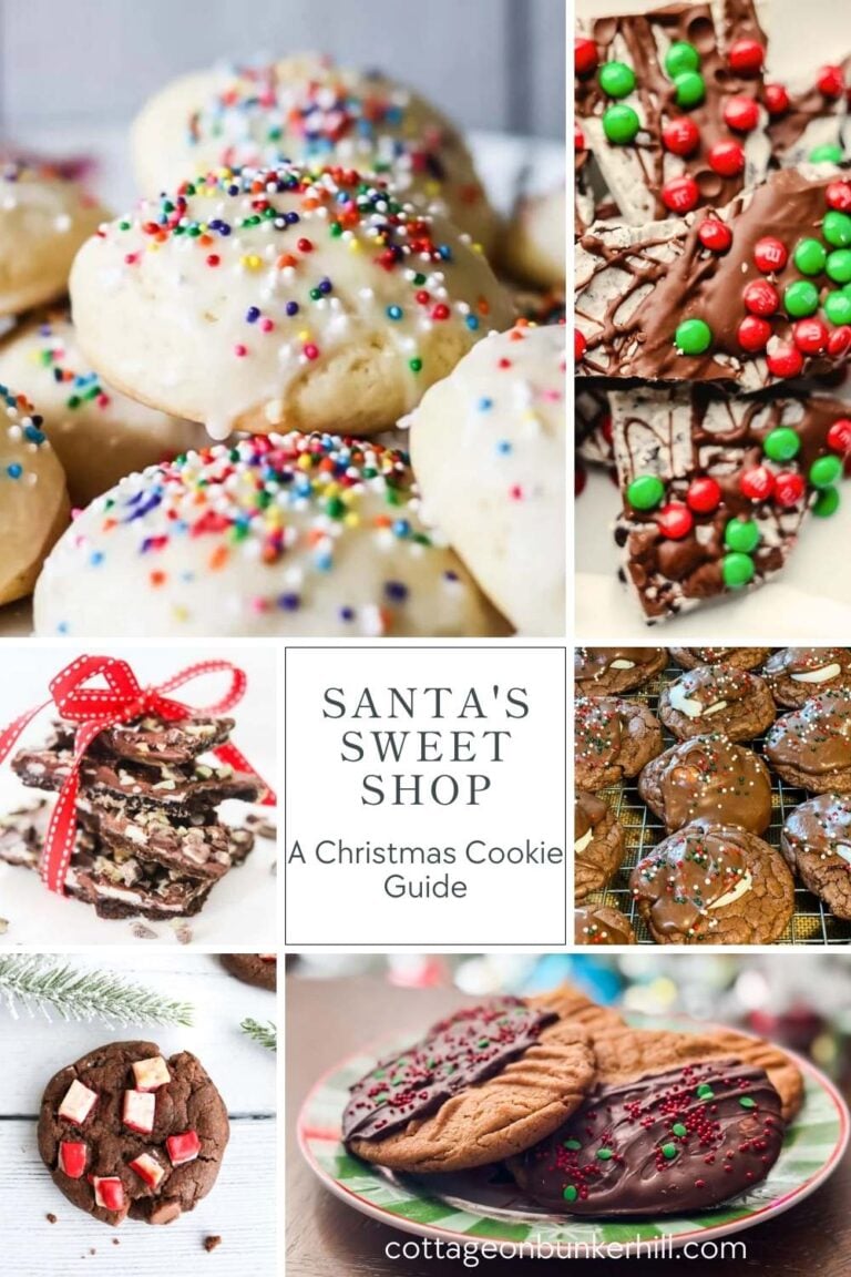 Santa’s Sweet Shop: A Christmas Cookie Guide