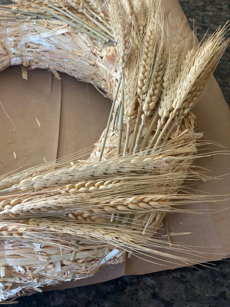 Dried wheat on straw wreath form