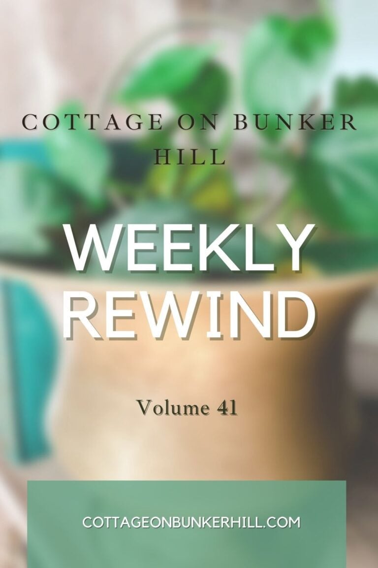 Cottage On Bunker Hill | Weekly Rewind vol. 41