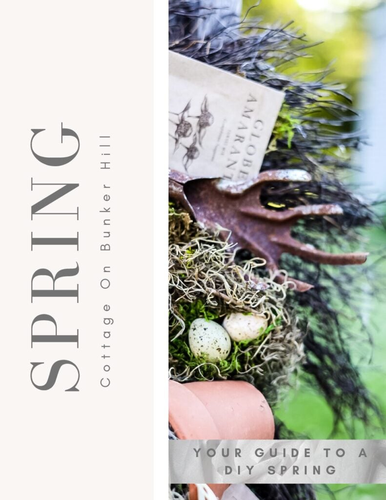 Cottage-on-Bunker-Hill-Spring-E-Book-pdf-791x1024