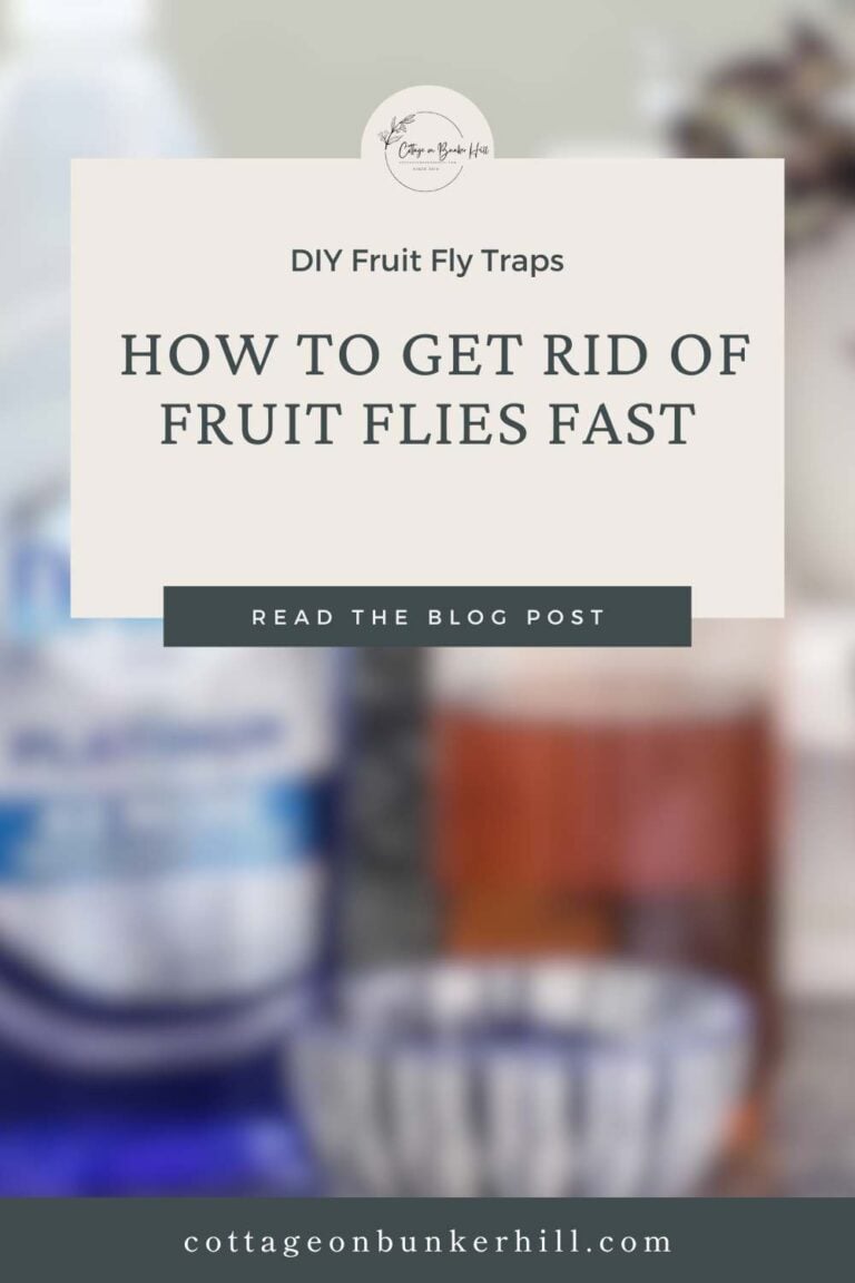 pinterest graphic for fruit fly trap with blurry image and text