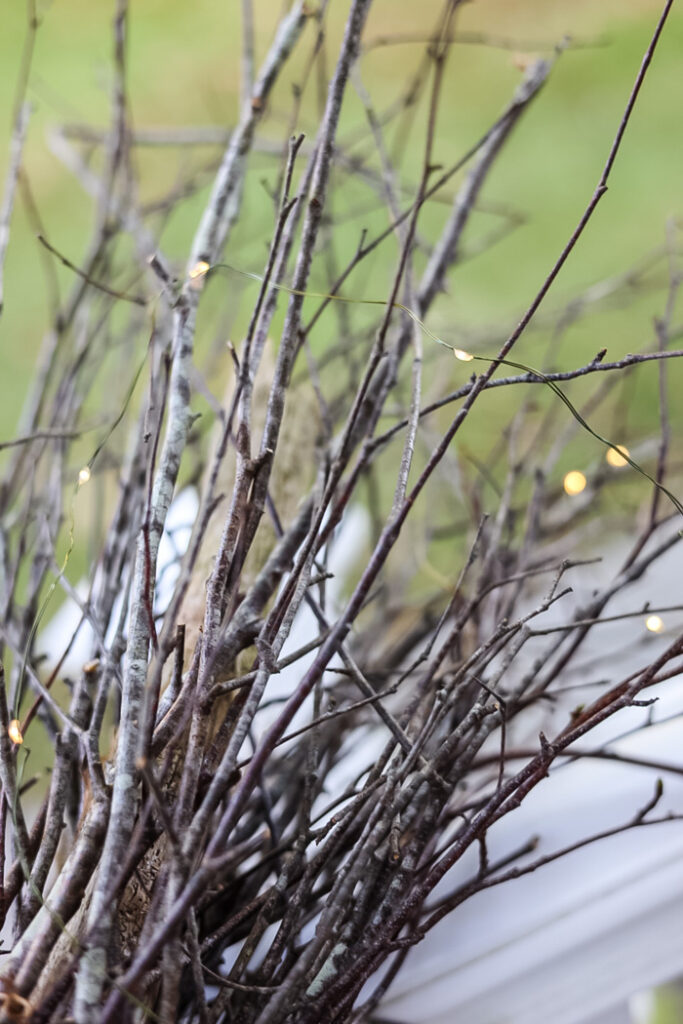 birch branches with twinkle lights