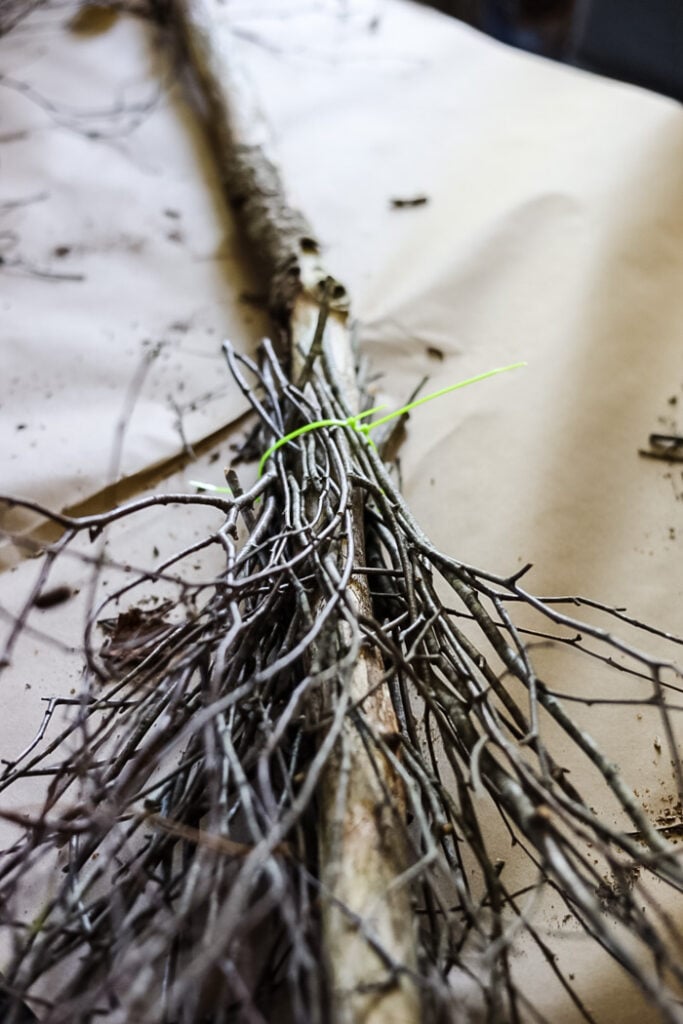 wood branch and birch twigs bundles to make a witch broom.
