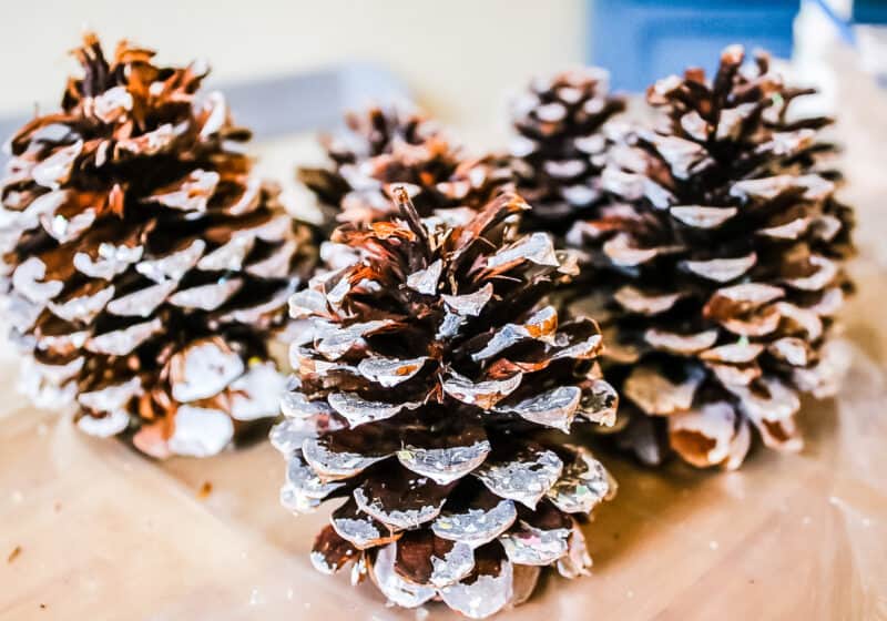 glittery pine cones