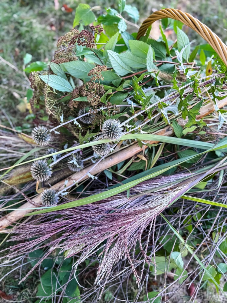 basket of garden clippings