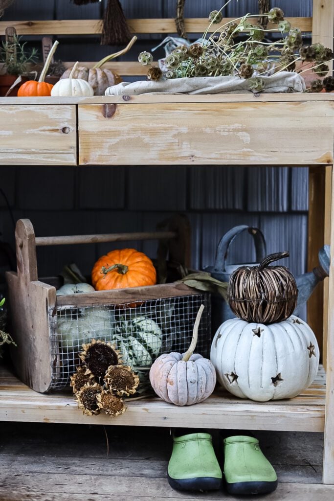 close up of fall pumpkins and flowers on a potting bench