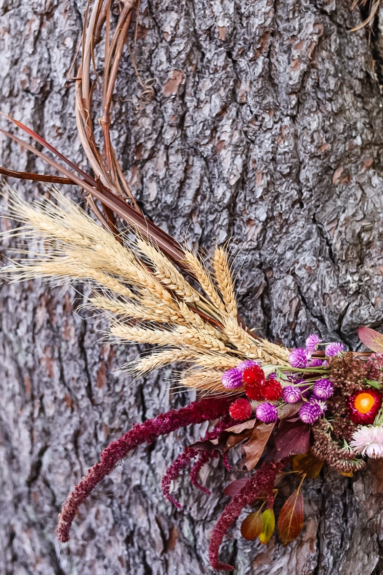 wheat and amaranth on a wreath hanging on a ree