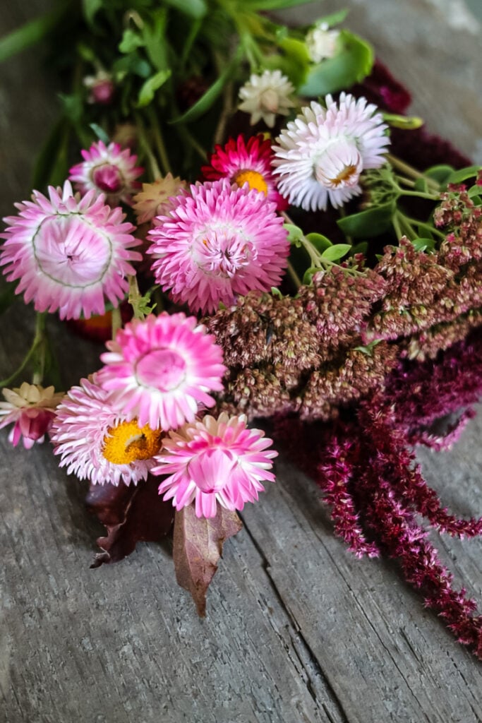 strawflowers, and amaranth