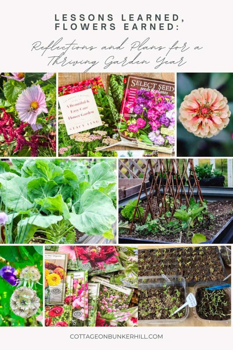 Lessons Learned, Flowers Earned: Reflections and Plans for a Thriving Garden Year
