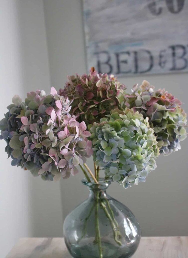glass vase with hydrangeas