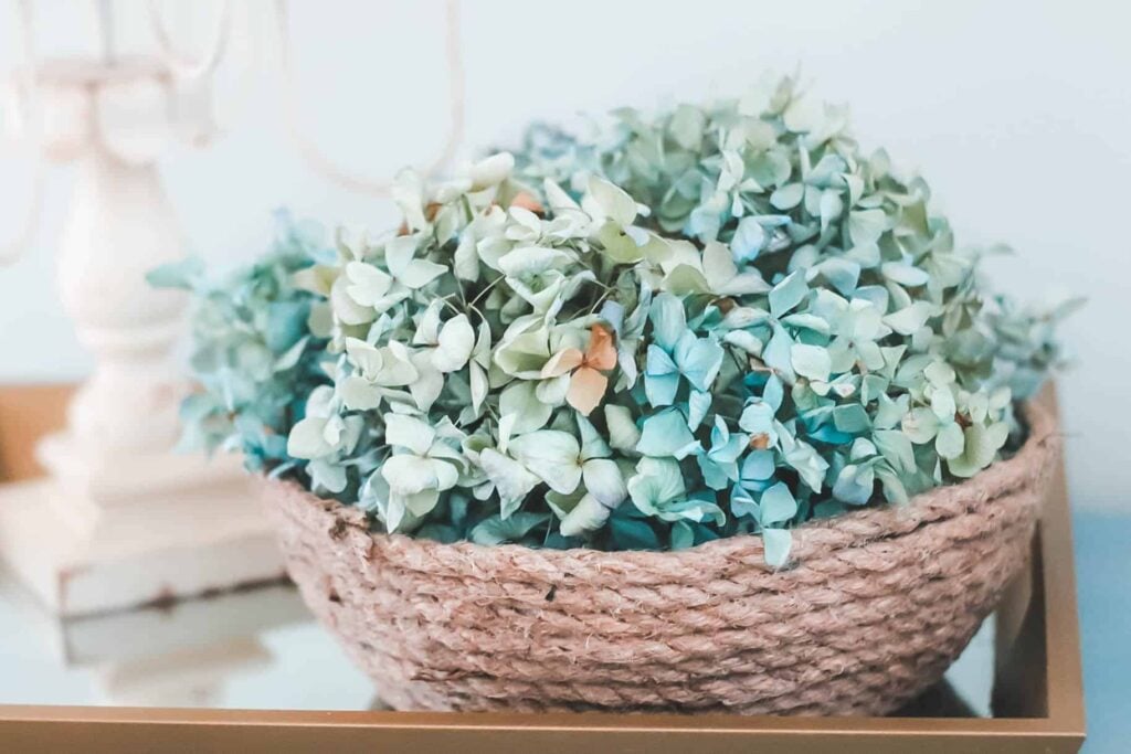 Spring Cottage Style