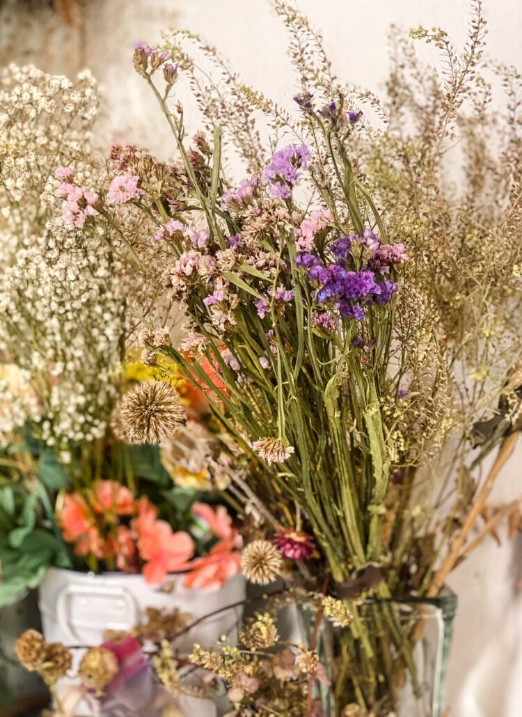 dried flower supply