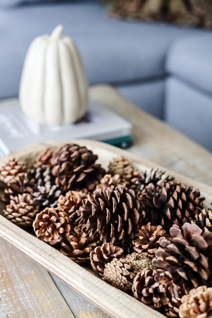 pine cones in a dough bowl