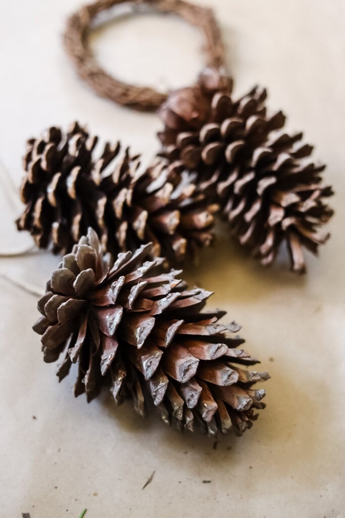 pinecones