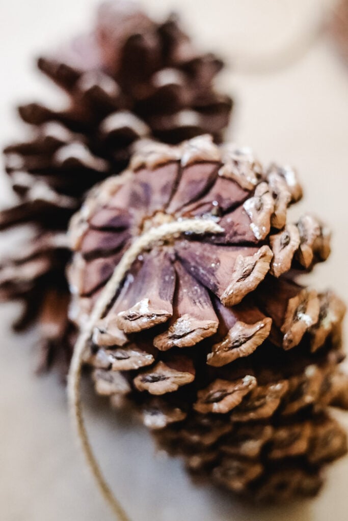 gluing jute string to bottom of pinecone