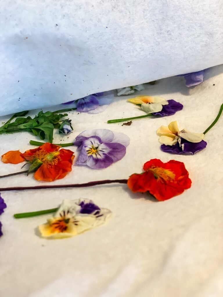 pressing flowers in a microwave