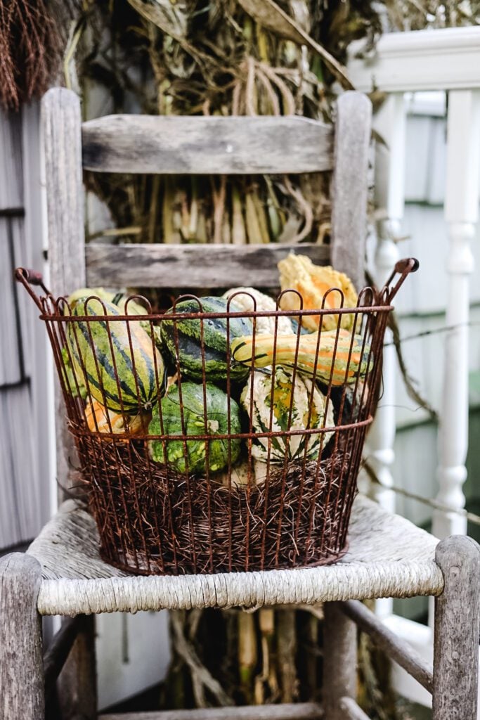 old chair with a metal basket filled with colorful gourds