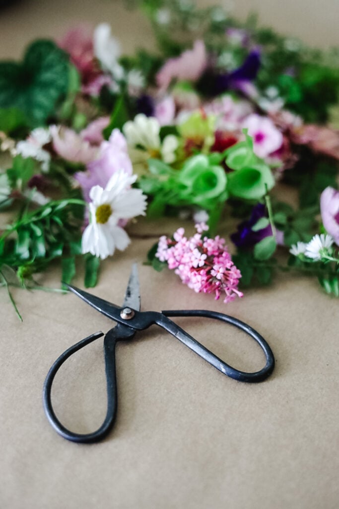 fresh flowers and scissors
