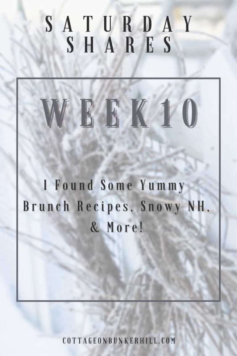 Saturday Shares | Week 10