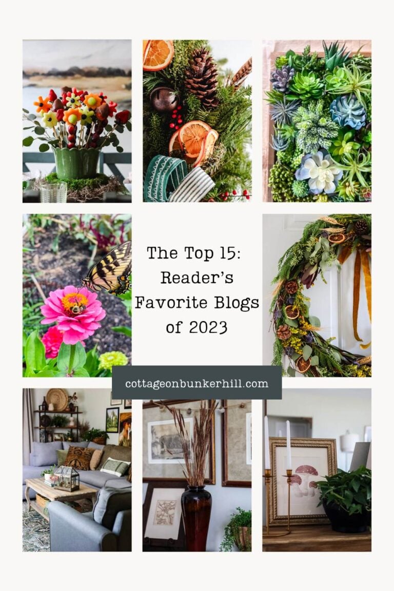 From DIY Delights to Design Dreams: Top 15 Cottage on Bunker Hill Reads (2023)