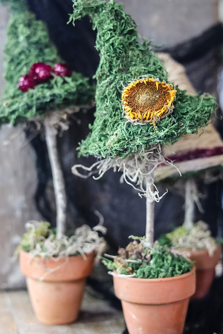 moss withc hat topiary