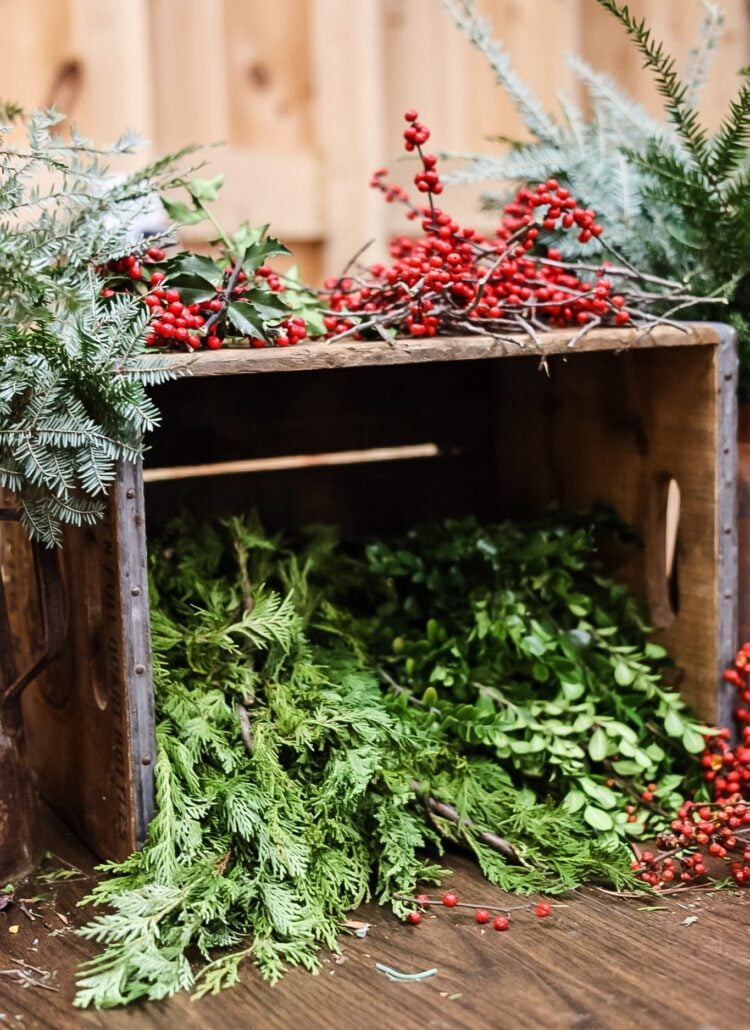 fresh winter greenery and berries for wreath party